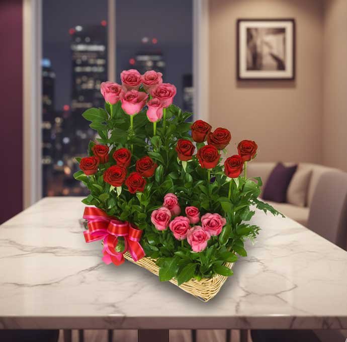 Las canastas rosas son un regalo elegante y lleno de encanto, ideal para sorprender en ocasiones especiales como cumpleaños, aniversarios, agradecimientos o celebraciones románticas.