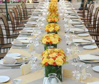 Los centros de mesa para 15 años son el toque especial que transforma cualquier celebración en un evento inolvidable. Diseñados con flores frescas y combinaciones creativas, aportan elegancia, frescura y estilo a cada mesa, destacando la magia de esta fecha tan especial.