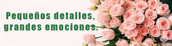 "Florería a domicilio promocional banner mostrando ofertas de arreglos frescos y elegantes, con entrega rápida para sorprender en cualquier ocasión especial." 🌸🚚