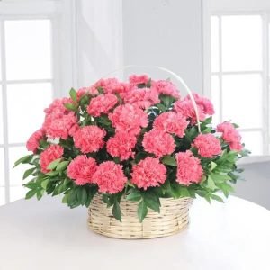 Flores de claveles en canasta elegante, frescas y coloridas, ideales para regalar en ocasiones especiales o decorar con un detalle natural y único." 🌸🧺