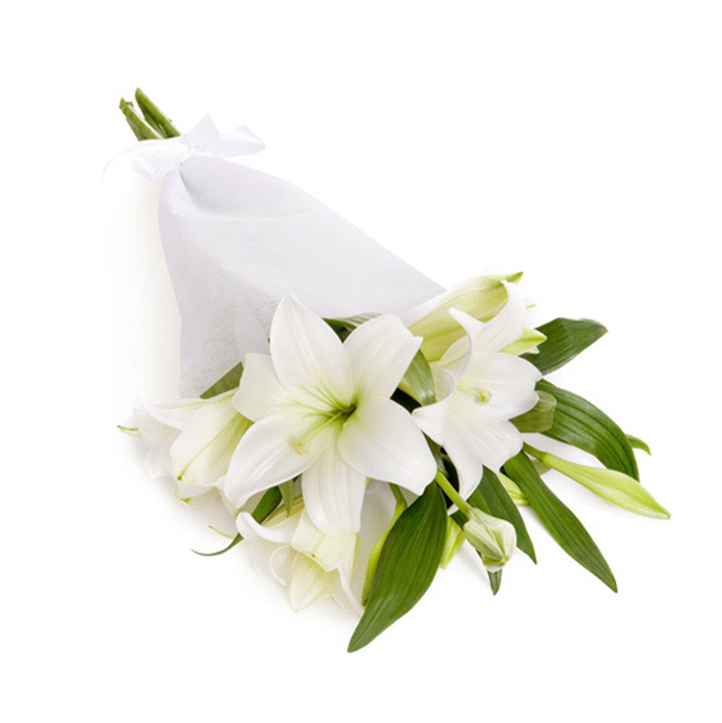 Flores Lilis Blancas