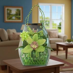 La orquídea Cymbidium es una de las flores más elegantes y sofisticadas para regalar. Reconocida por sus flores grandes, duraderas y de colores vibrantes, es símbolo de respeto, prosperidad y belleza única.