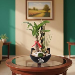 Las plantas ornamentales son la mejor opción para decorar hogares, oficinas y espacios especiales con frescura, elegancia y un toque natural. Estas plantas no solo embellecen cualquier ambiente, también transmiten armonía y bienestar.