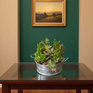 Las plantas suculentas exóticas son una elección perfecta para quienes buscan un detalle original, elegante y fácil de cuidar. Su diseño natural y formas únicas las convierten en un elemento decorativo moderno que aporta frescura y estilo a cualquier espacio, ya sea en casa o la oficina