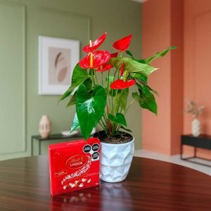 Nuestros regalos corporativos están diseñados para fortalecer relaciones profesionales, agradecer la confianza de clientes o reconocer el esfuerzo de colaboradores.