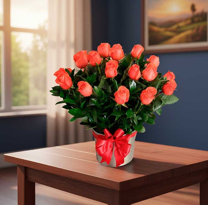 Las rosas salmón son un detalle único que transmite entusiasmo, alegría y gratitud, convirtiéndose en el regalo perfecto para celebrar cumpleaños, aniversarios, logros o simplemente para sorprender a alguien especial.